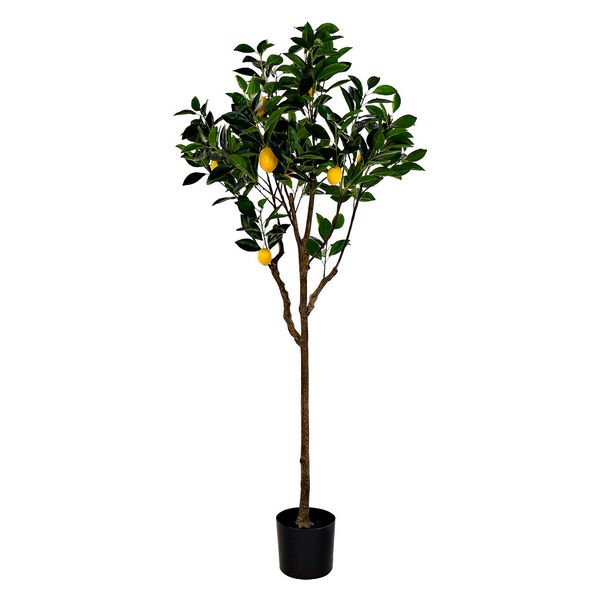 Árbol DKD Home Decor Ornamental (74 x 150 cm)