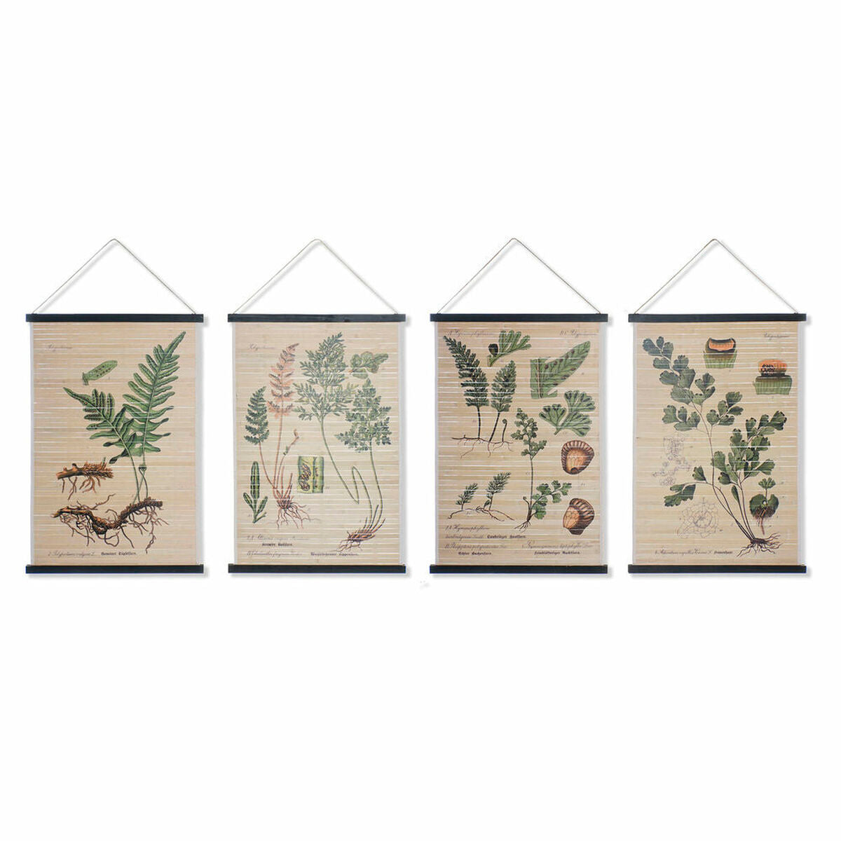 DKD Canvas Home Decor Plantas Botánicas (4 uds) (60 x 2 x 90 cm)