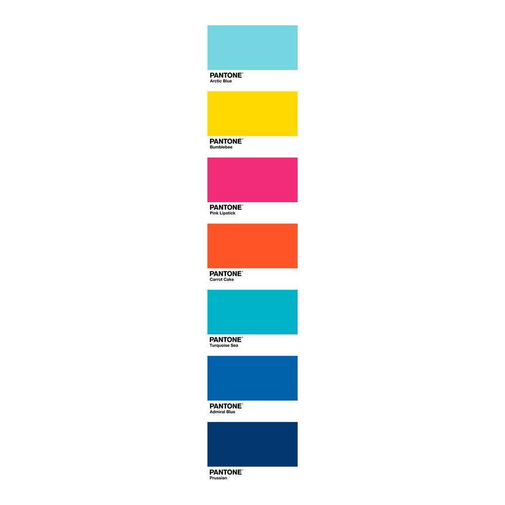 Cubrecama Fun Deck A Pantone