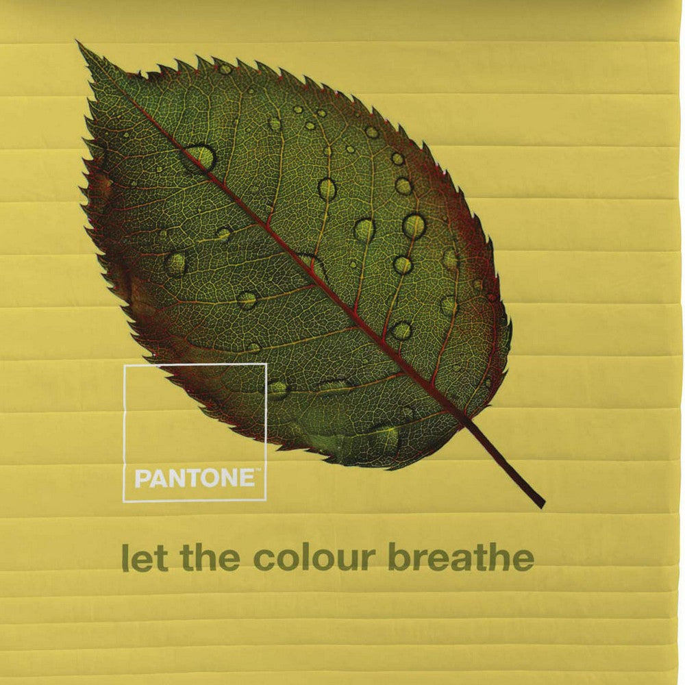 Colcha Nature Pantone