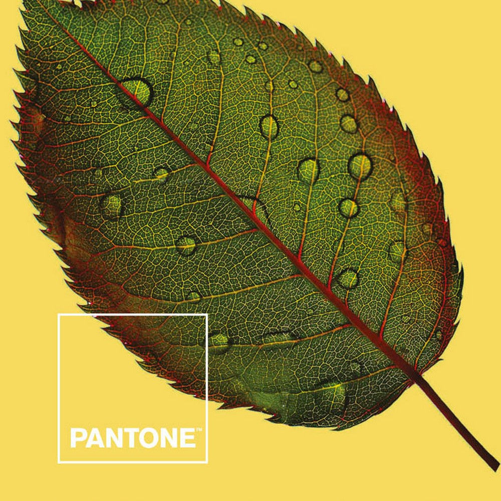 Funda nórdica Naturaleza Pantone