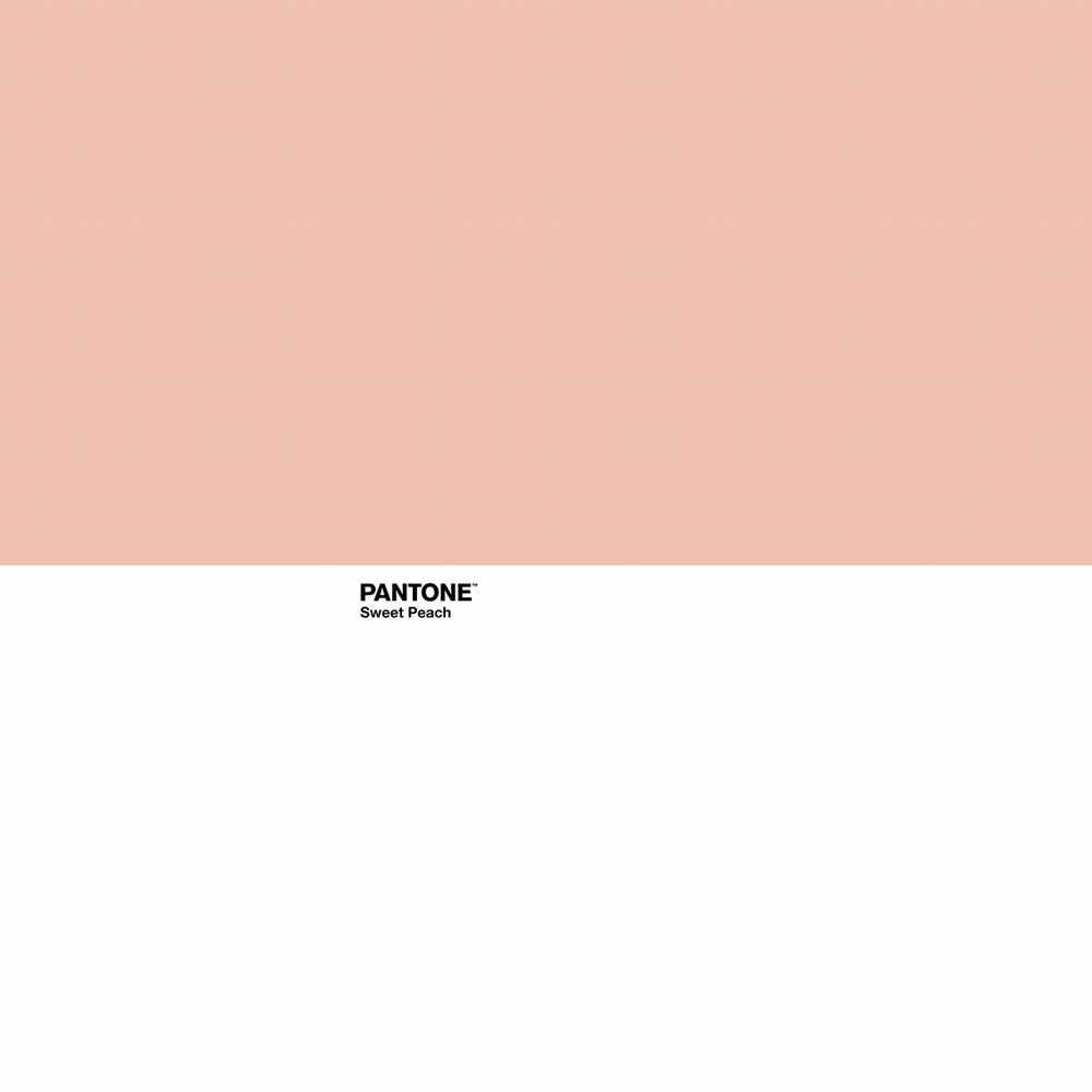 Funda nórdica Pantone Sweet Peach (Cama de 135) (220 x 220 cm)