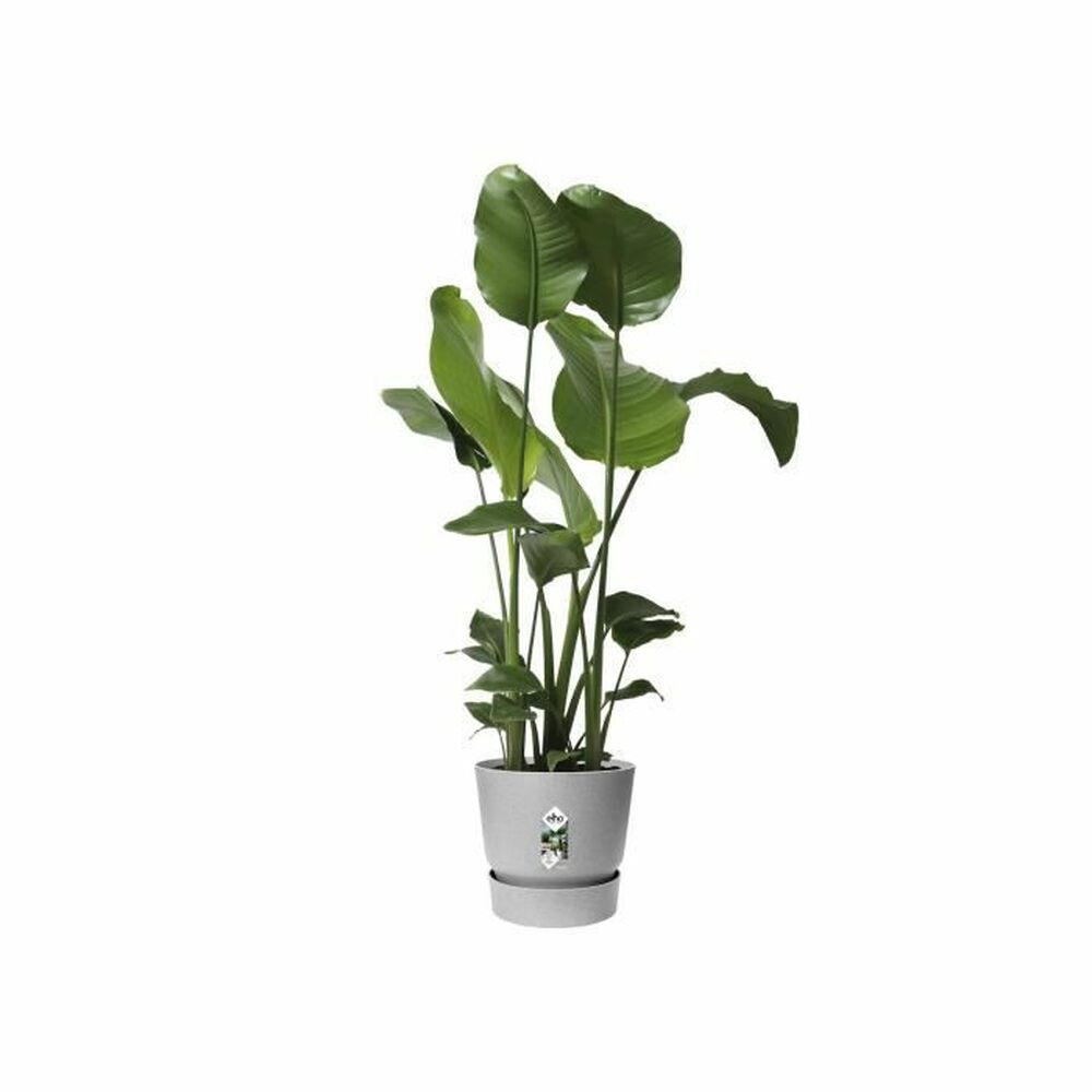 Pot de Fleurs Plastique Gris Elho Greenville Ø 24,48 cm