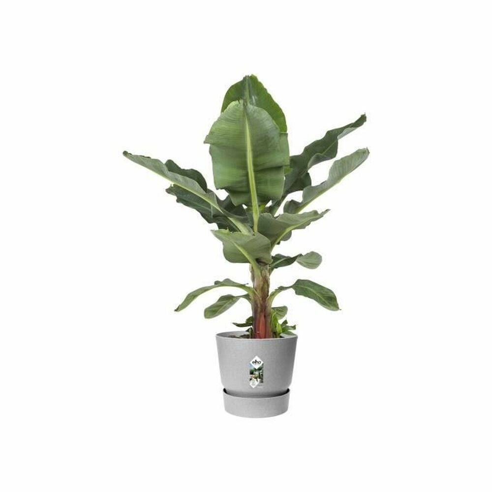 Pot de Fleurs Plastique Gris Elho Greenville Ø 24,48 cm