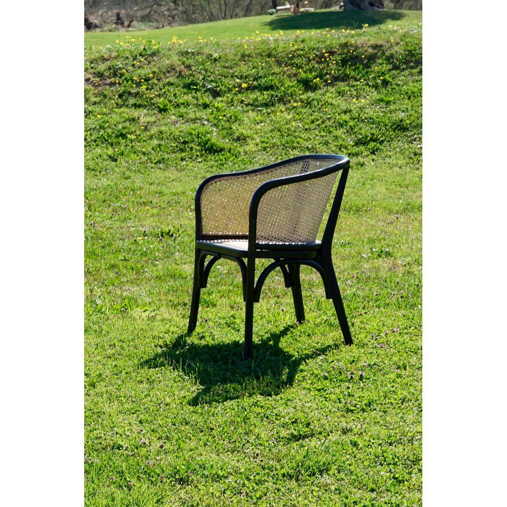 Chaise de jardin en rotin et bois